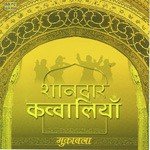 Shaandar Qawwallia - Muqabila - Dilawar Jani Song Download