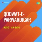 Qoowat E Parwardigar - Dilawar Jani Song Download